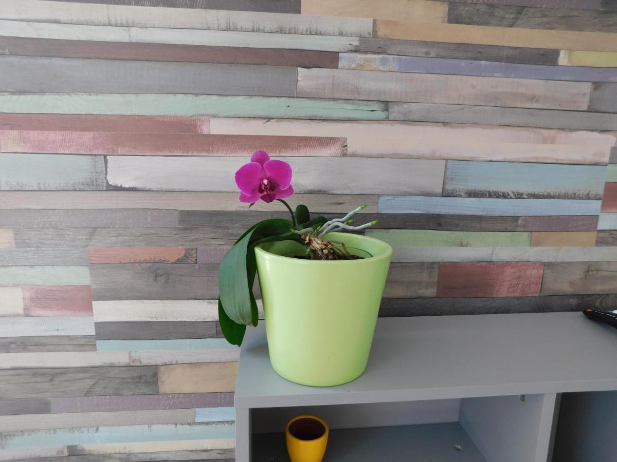 Tina Apartman Prnjavor Esterno foto